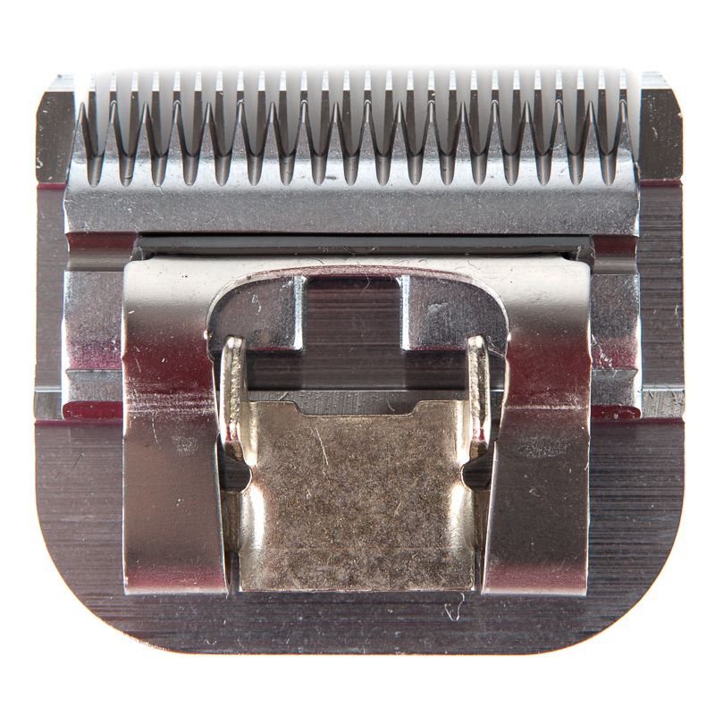 Oster Size 10 Detachable Blade