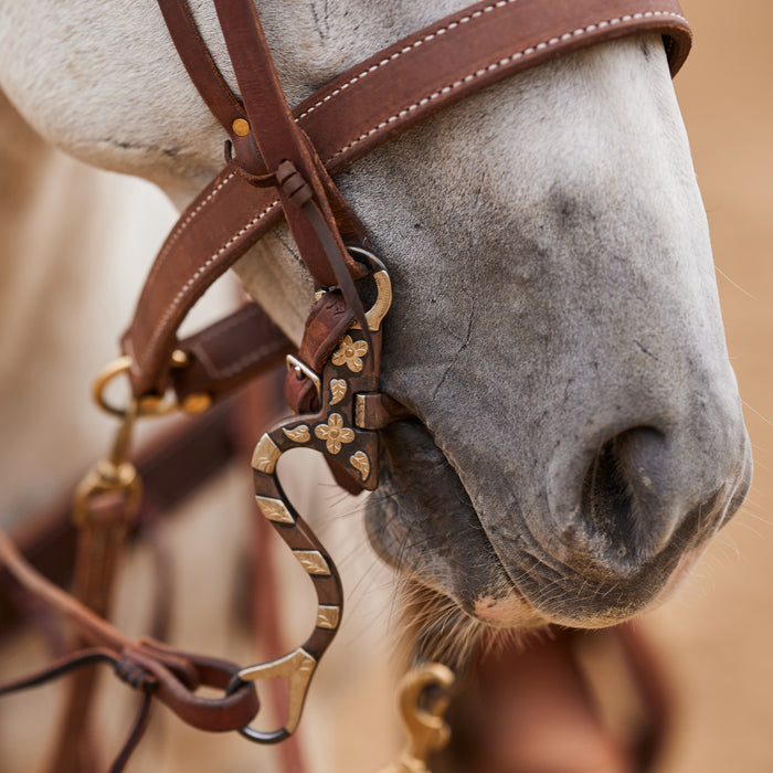 NRS Ported Chain Cavalry Bit