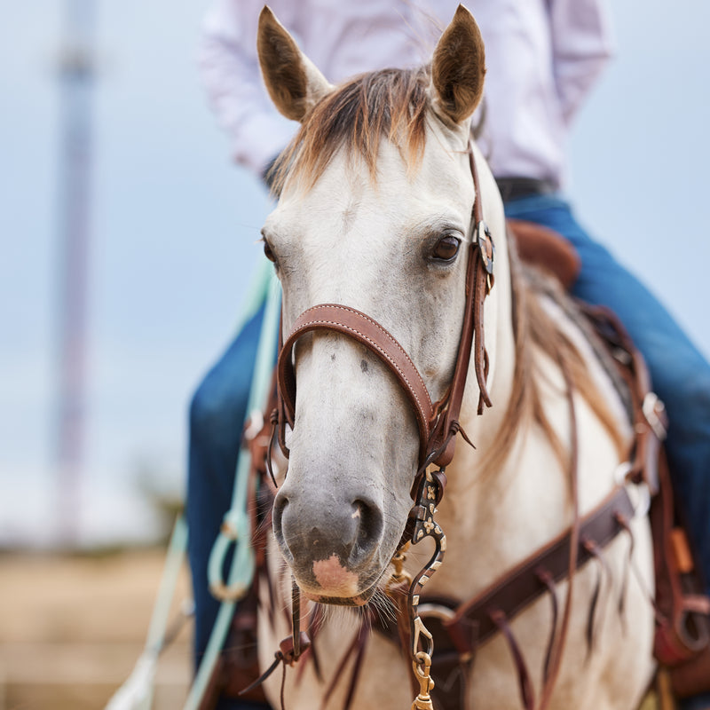 NRS TACK 1 1/8in Noseband With Harness Hanger