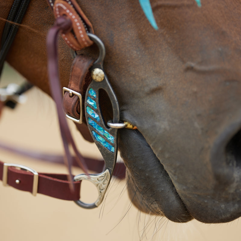 Cowboy Tack Turquoise Twisted Dog Bone Gag Bit