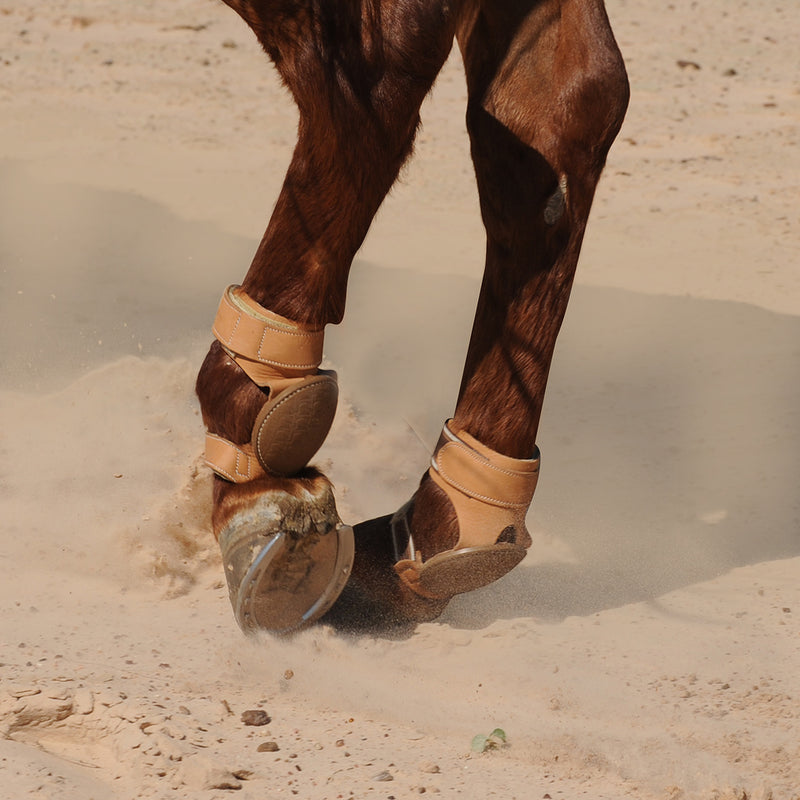 Classic Pro Reiner Skid Boots