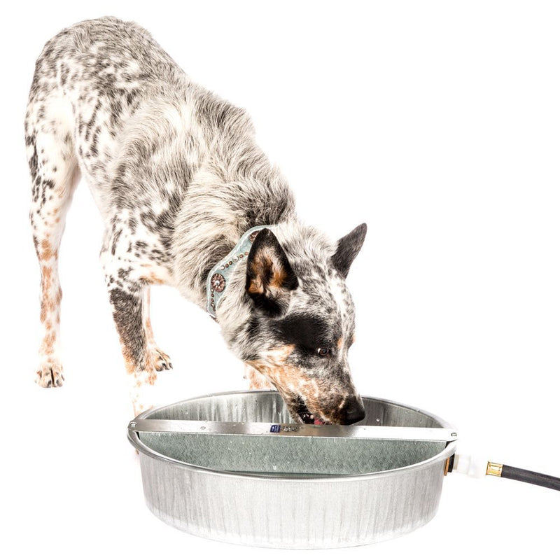Pet Lodge 13 Quart Galvanized Ever Full Pet Bowl Waterer
