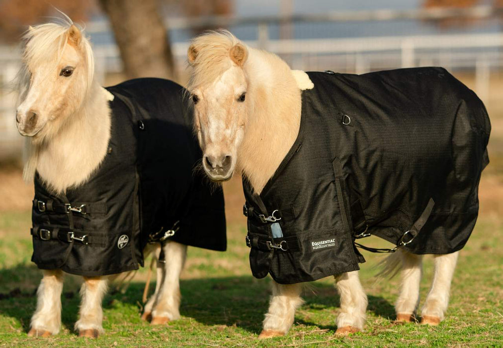 Professionals Choice Professional's Black 1200D Pony Winter Blanket