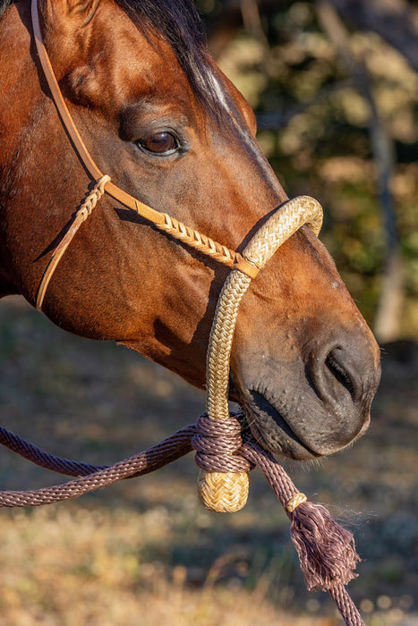 NRS Hand Braided Rag Hackmore
