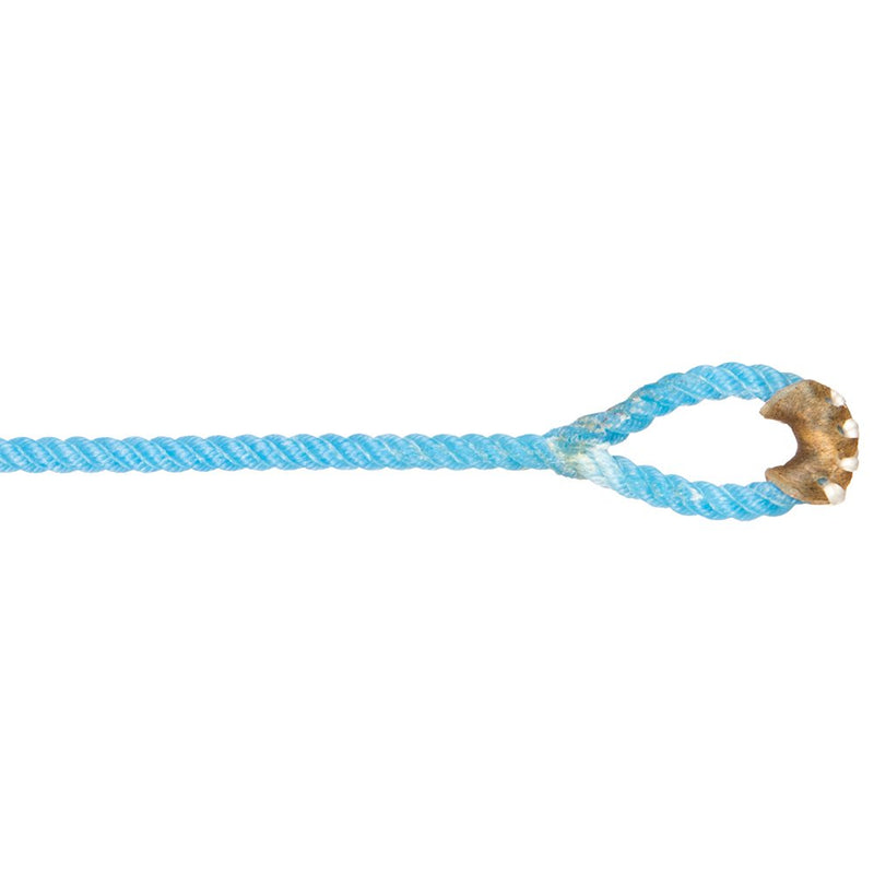 Rattler Boys 60in. Goat String
