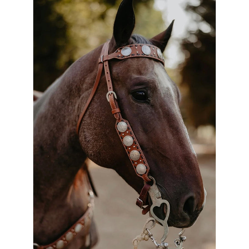 Rodeo Quincy Brown Dinero Single Ear Headstall
