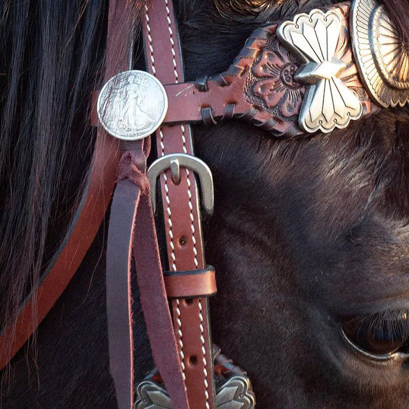 Rodeo Quincy Elko Browband Headstall