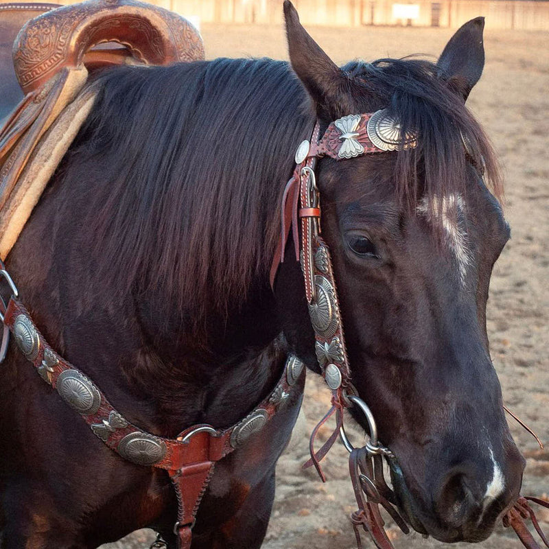 Rodeo Quincy Elko Breast Collar
