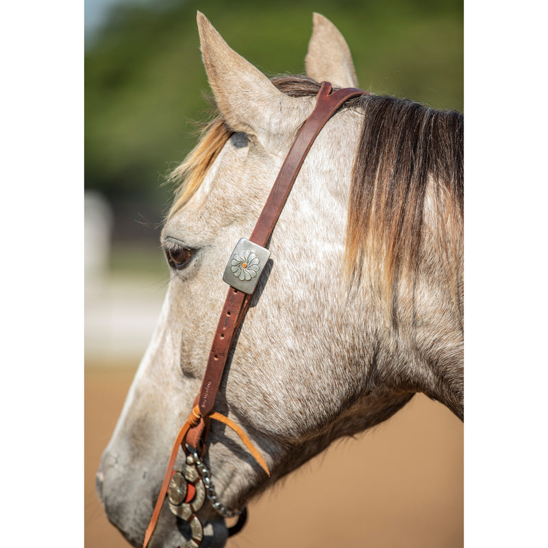Cowperson Tack NRS Exclusive Decatur Rose Slit Ear Headstall