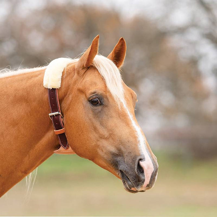 Professionals Choice Professional's The 'Dare' Horse Cribbing Collar