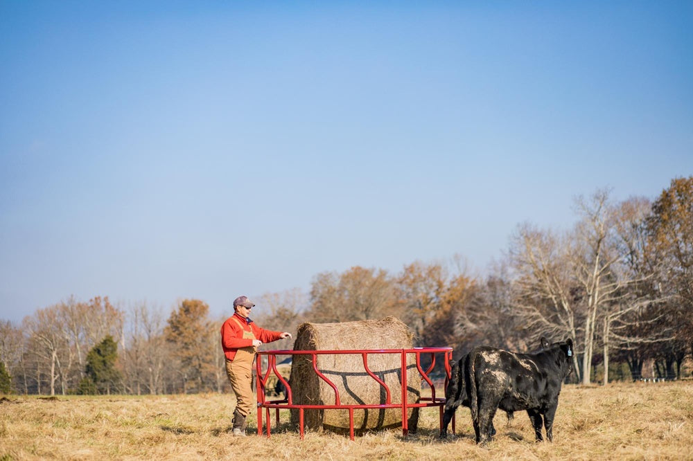 Tarter Titan Cattle Feeder
