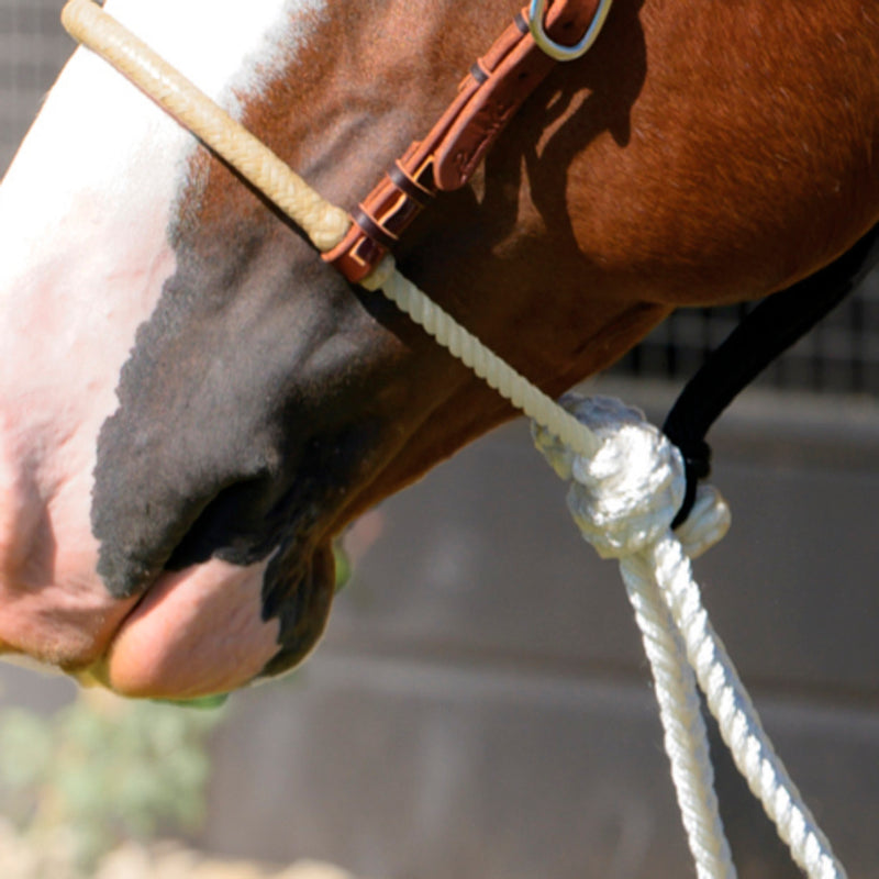 Professionals Choice Rawhide Rope Noseband Loping Hackamore w/Reins