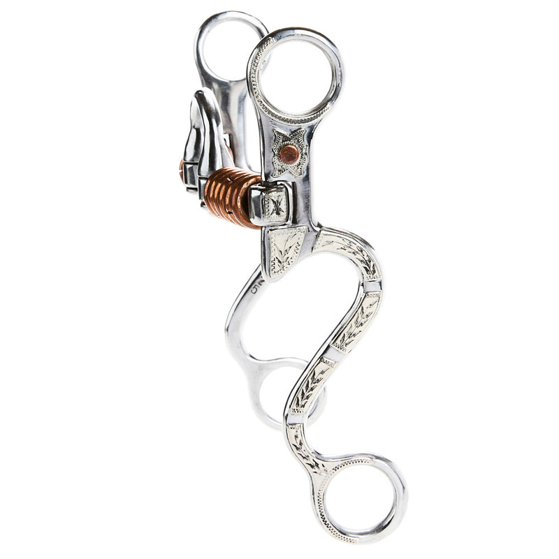 Reid Jones Correction with Copper Rings