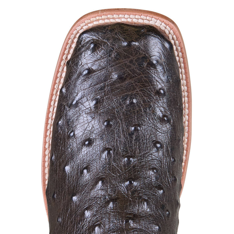 Tony Lama Women's Cheyenne Brown Ostrich Vamp 11in Gold Goat Top Boot
