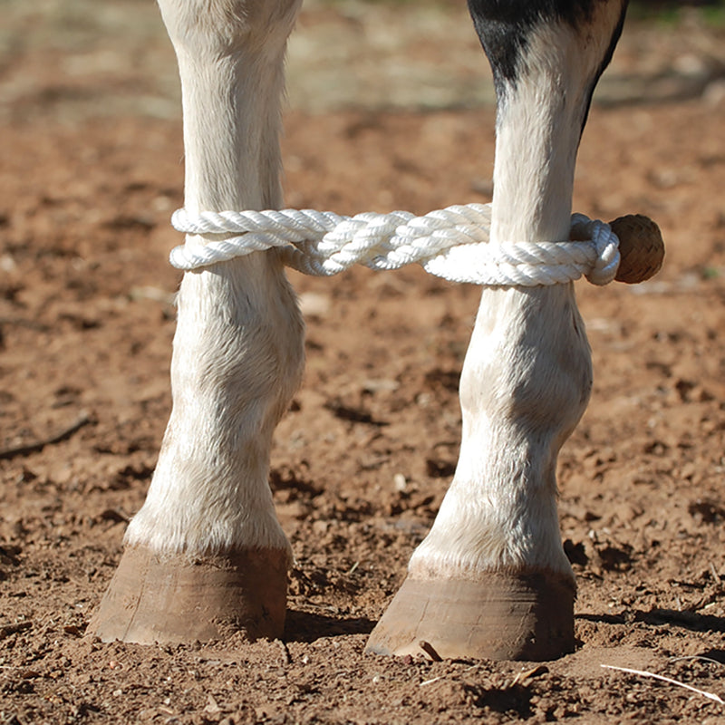 Martin Saddlery Rope Hobble With Rawhide Button
