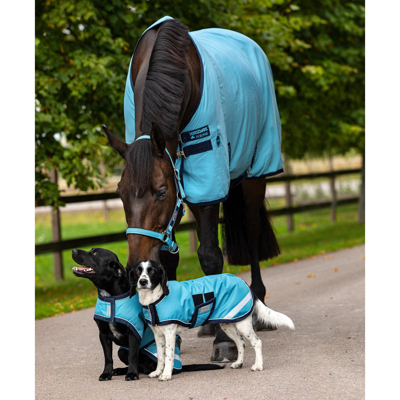 Horseware Ireland Amigo Dog Rug 100g