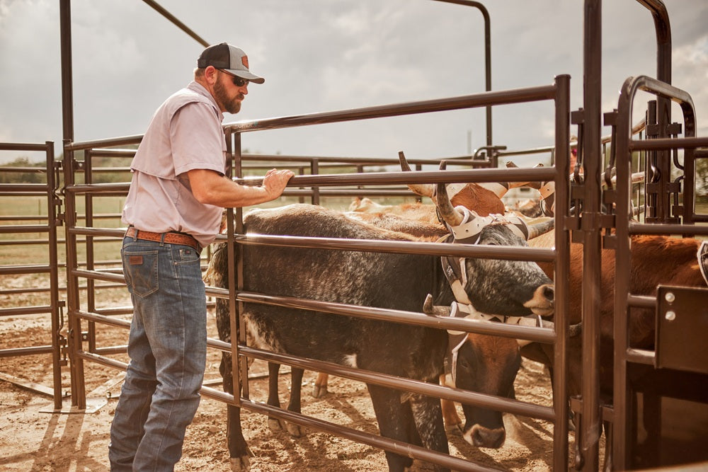 Tarter Roping Sweep System