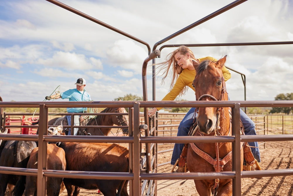 Tarter Roping Sweep System