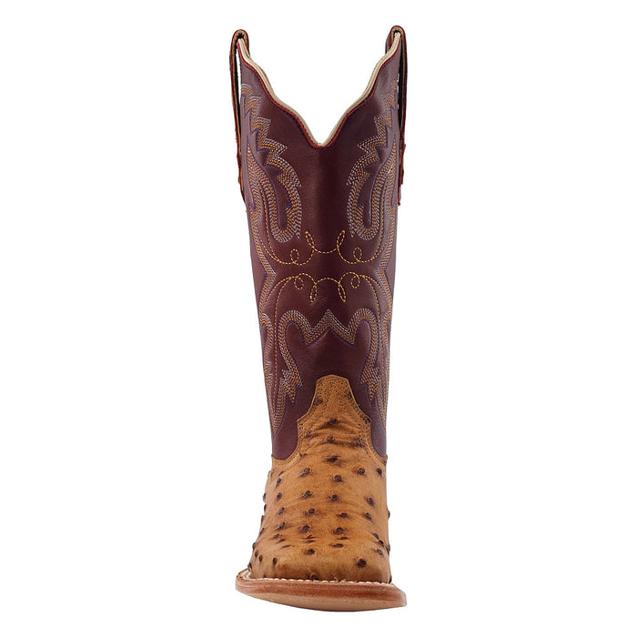 R Watson Boots Women's Antique Saddle FQ Ostrich 13 in Antique Sienna Top