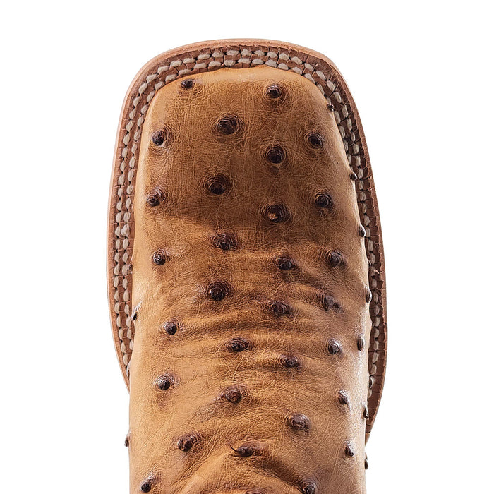 R Watson Boots Women's Antique Saddle FQ Ostrich 13 in Antique Sienna Top