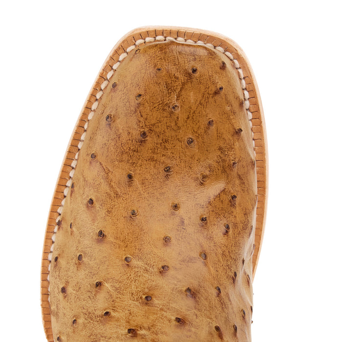 R Watson Boots Women's Antique Saddle Full Quill Ostrich 14in Cognac Top