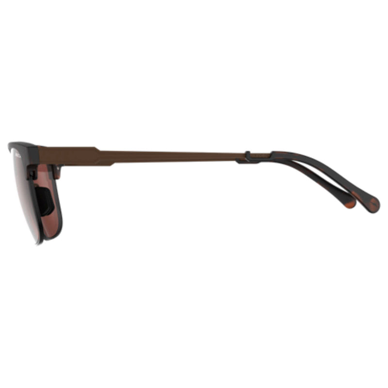 Bex Roger Tortoise and Brown Sunglasses