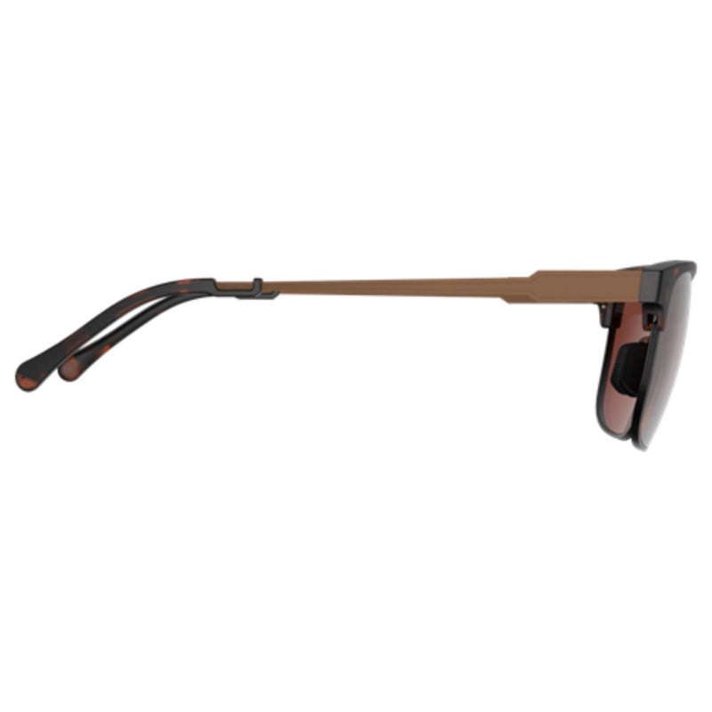 Bex Roger Tortoise and Brown Sunglasses