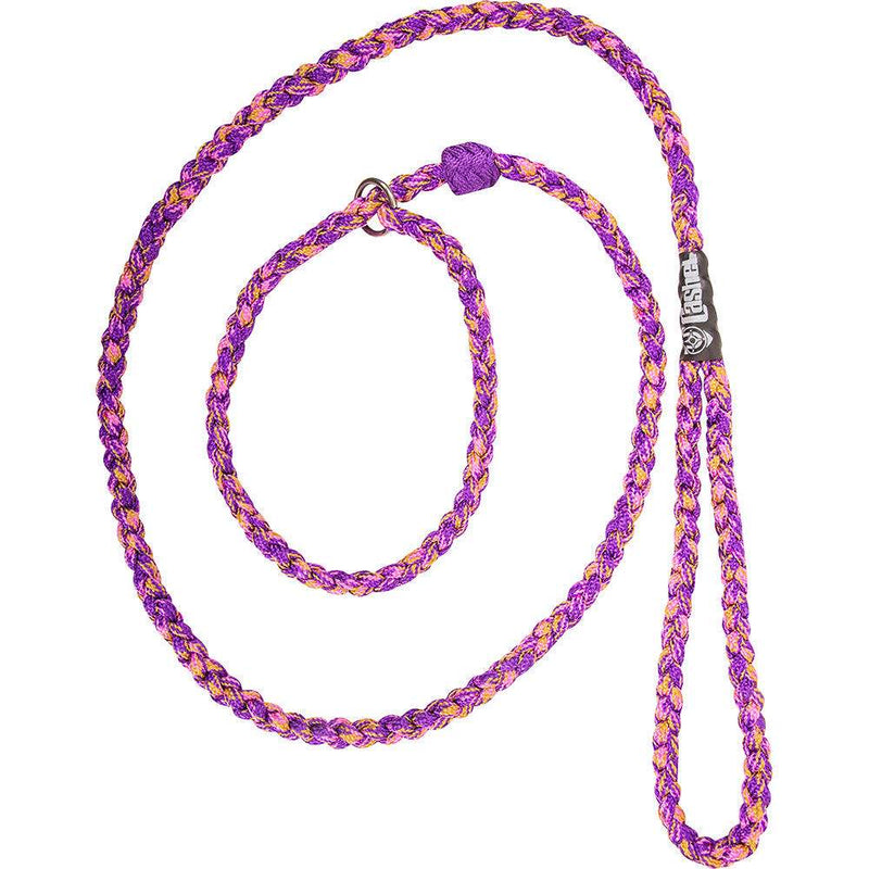Cashel Company Braided Dog Leash