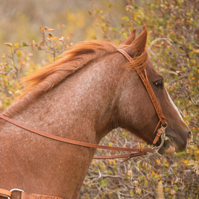 Cashel Company Natural Slip Ear Headstall with Guns and Roses Buckles