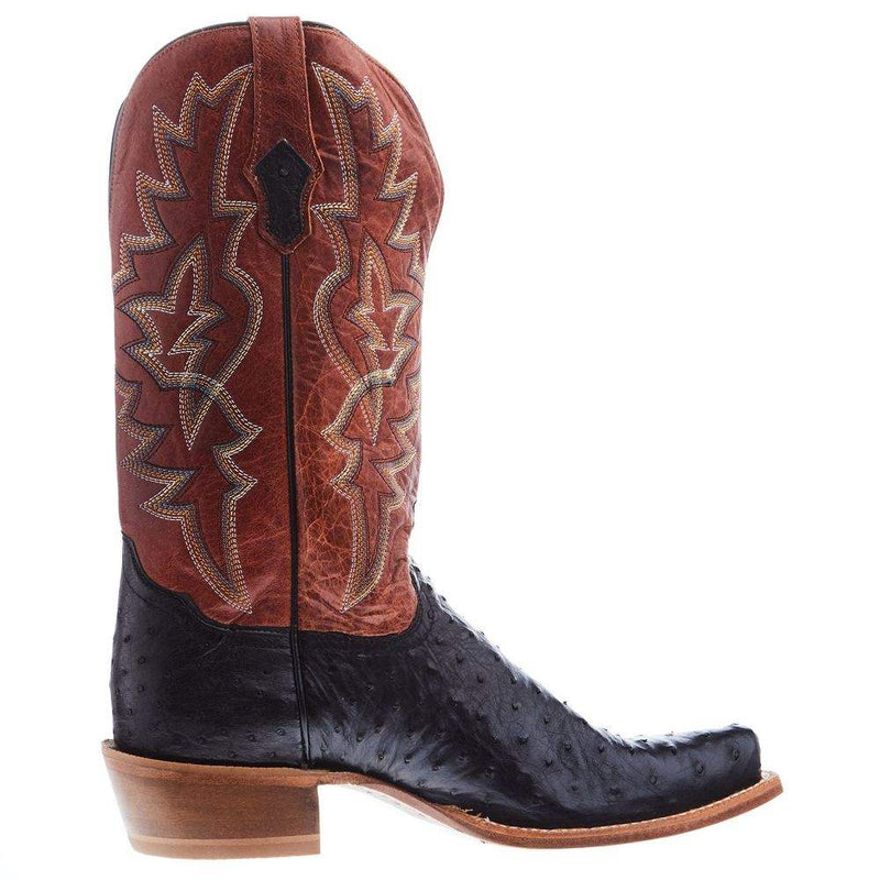 Tony Lama Men's Arena Rylen Black Full Quill Ostrich 13in Cognac Top