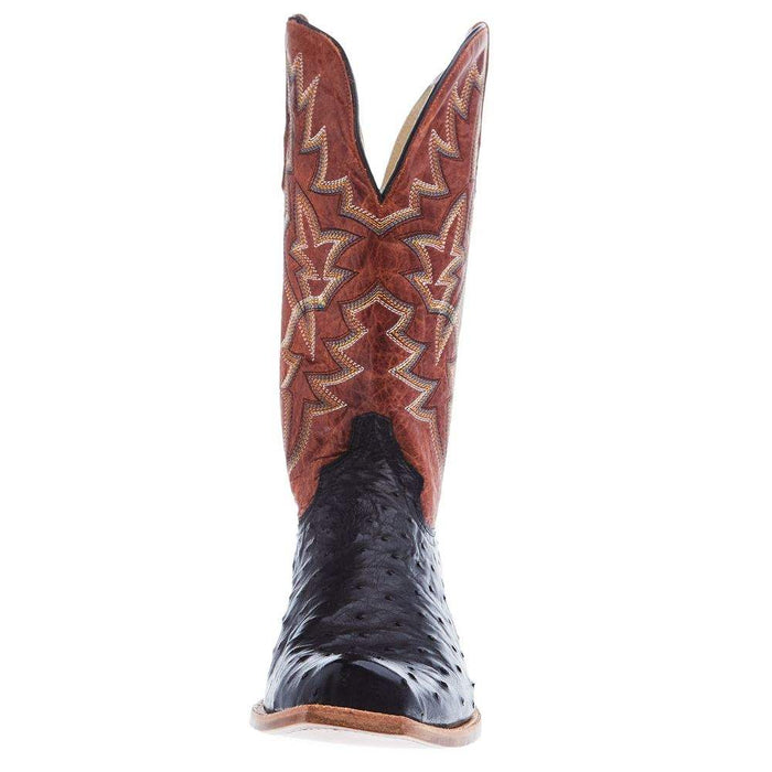 Tony Lama Men's Arena Rylen Black Full Quill Ostrich 13in Cognac Top