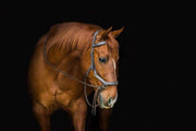 Horseware Ireland Rambo Micklem Multibridle