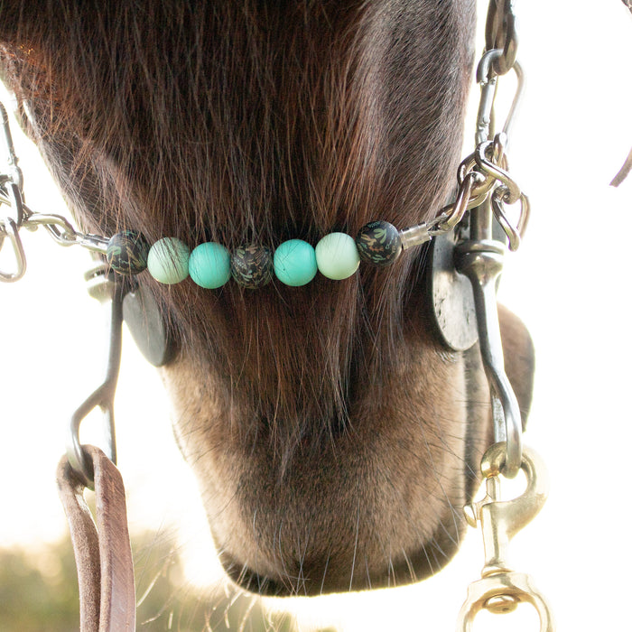 NRS Turquoise Western Cactus Silicone Beaded Chain Curb Strap