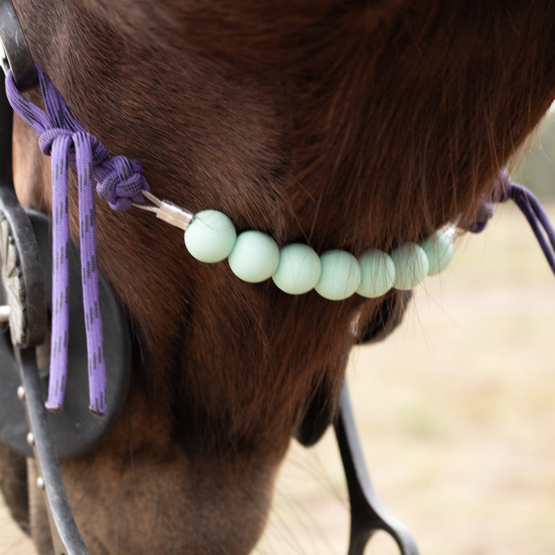NRS Solid Mint Purple Diamond Silicone Beaded Curb Strap