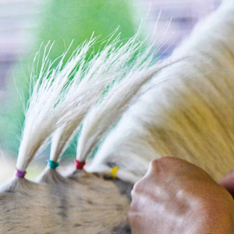 Professionals Choice Tail Tamer by Professional's Choice Slick Bands