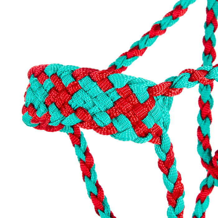 Special C Muletape Two Color Halter with 8ft Attached Lead