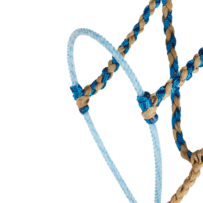 Special C Muletape Sand and Royal Blue Lariat Rope Nosebnd Muletape Halter