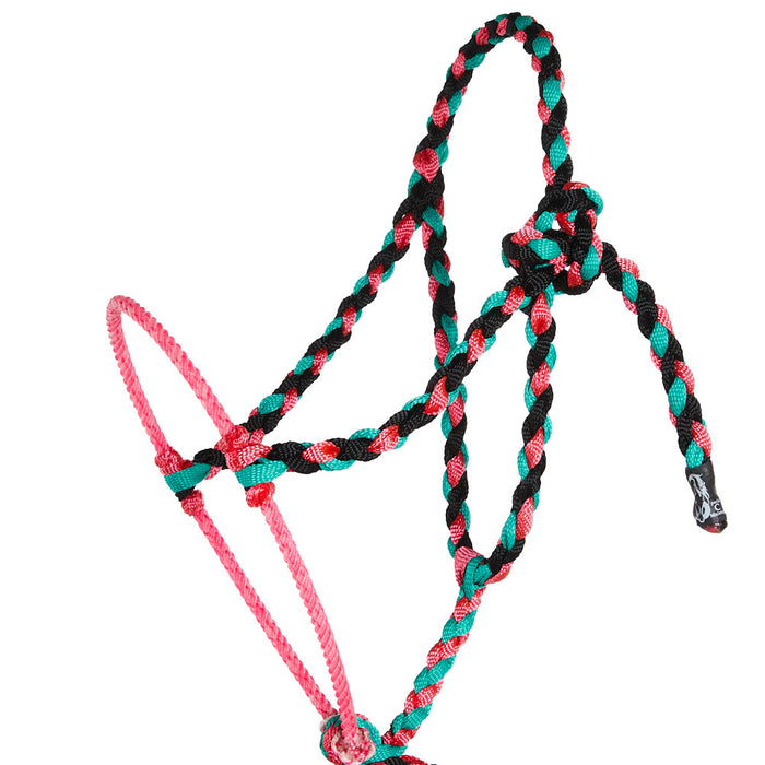 Special C Muletape Black, Pink and Teal Lariat Rope Noseband Muletape Halter