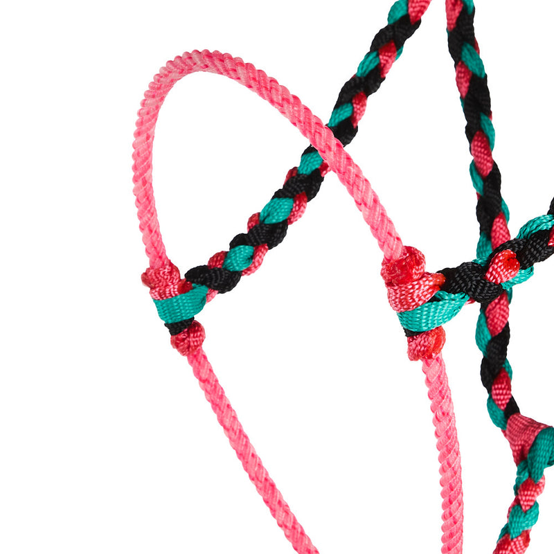 Special C Muletape Black, Pink and Teal Lariat Rope Noseband Muletape Halter