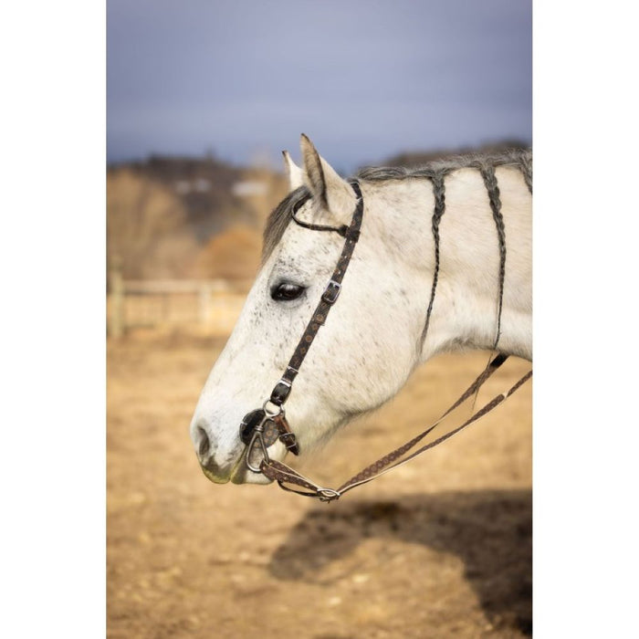 Schulz Equine Designer Single Ear Nylon Headstall