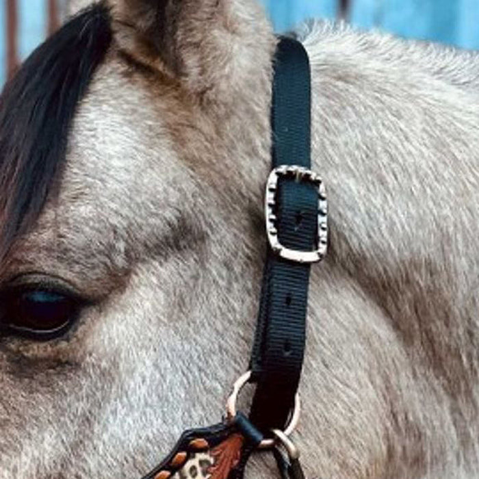 Schulz Equine Wild Child Lariat Nose Halter