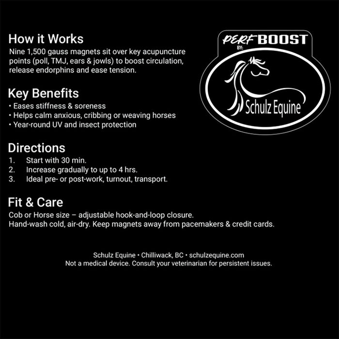 Schulz Equine Grey Magnetic Fly Mask