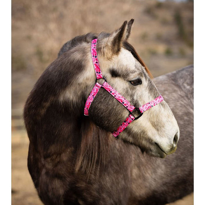 Schulz Equine Jackpot Nylon Halter