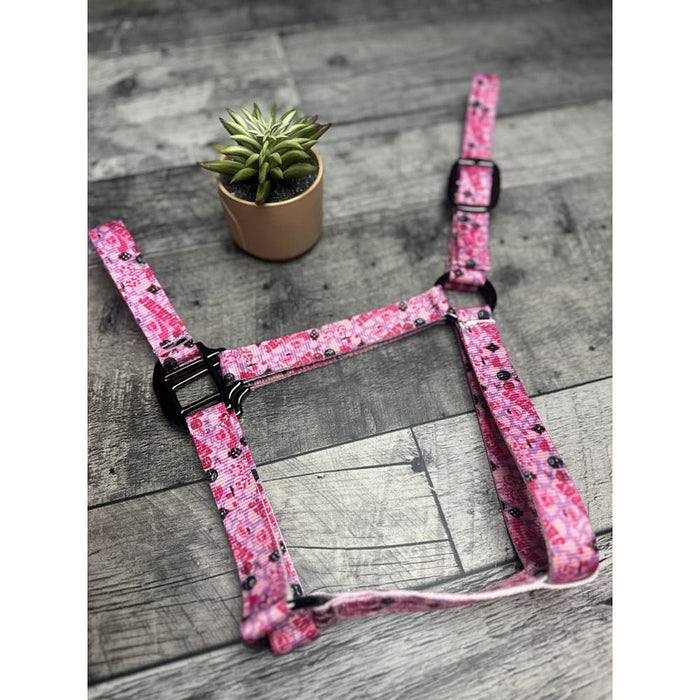 Schulz Equine Jackpot Nylon Halter