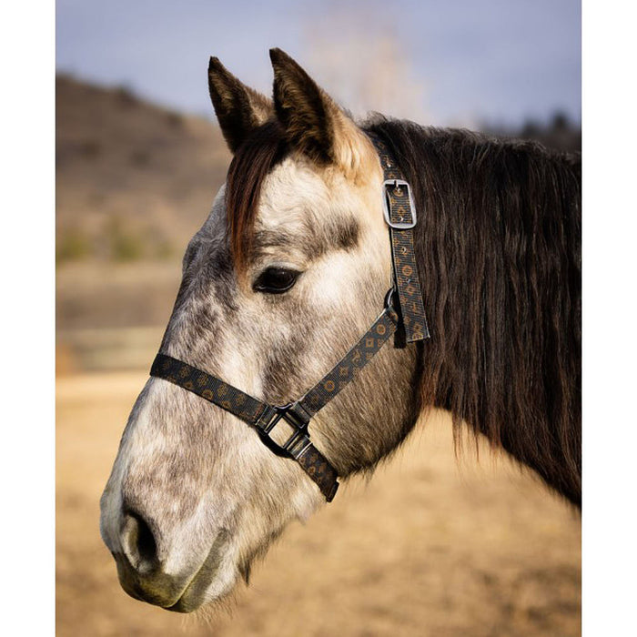 Schulz Equine Designer Nylon Halter
