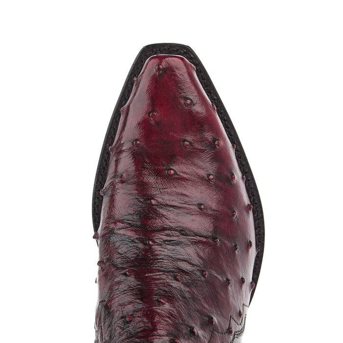 Tony Lama Women's Black Cherry Full Quill Ostrich Vamp 17In Black Top Boot