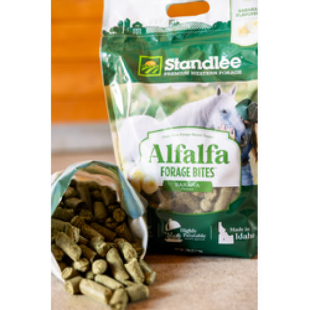 Standlee Premium Products Alfalfa Forage Bites Banana Horse Treat