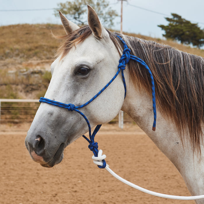 Hoose Rope Steele Halters Average Horse Rope Halter with 10ft Lead Rope