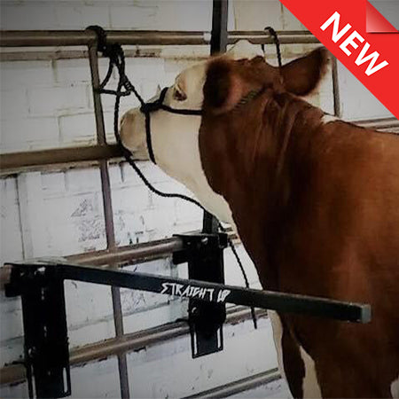 Sullivan Supply , Straight Up Bars for Livestock