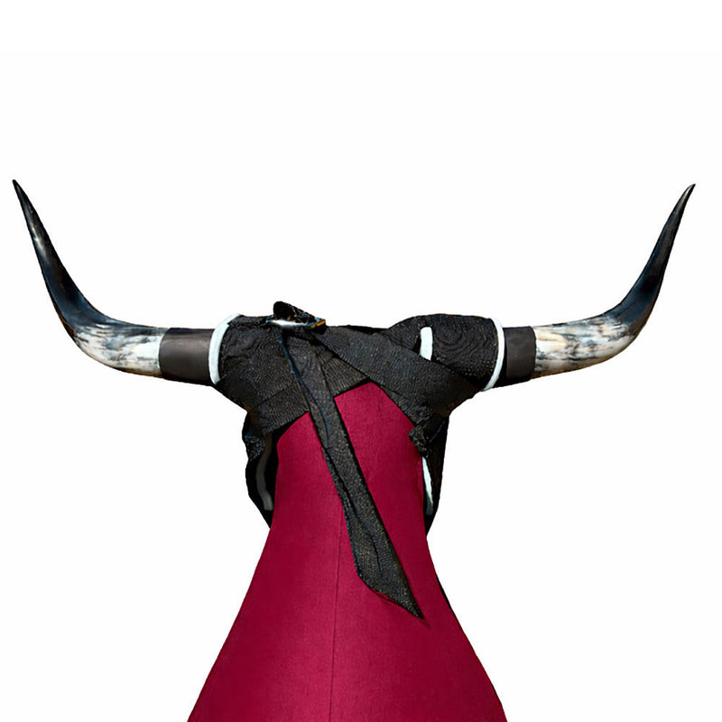 7K Roping Something Dummy Real SuperHorns